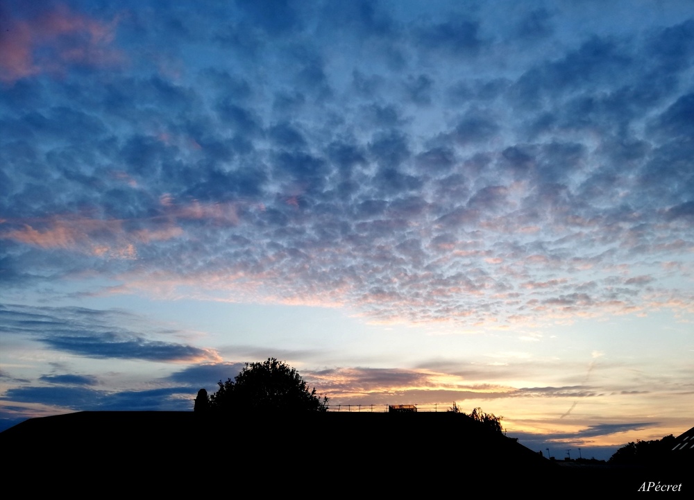 La tête dans les nuages 