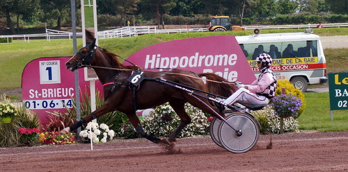 Hippodrome de la Baie Yffiniac - Réunion du 1er Juin 2014