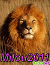 avatar pour Milou2011