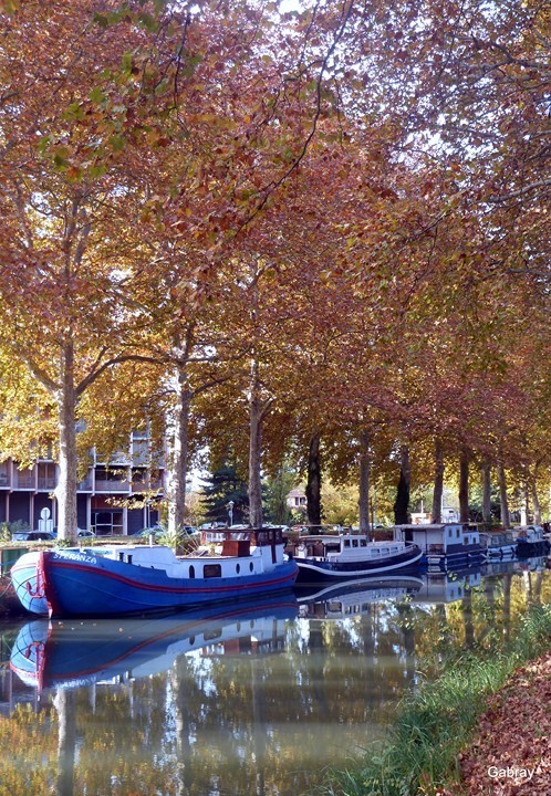 W01 - Le canal du Midi