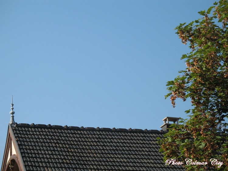 Ciel d’Alsace 180