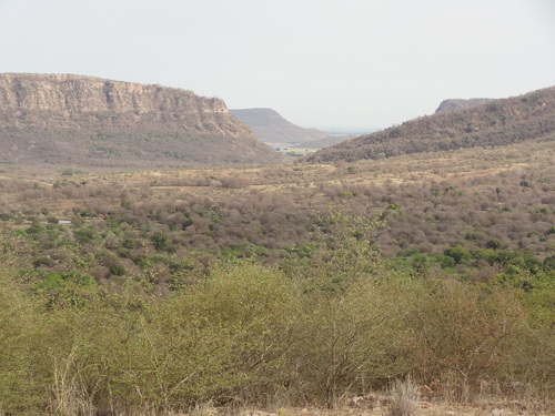 Parc National de Ranthambore