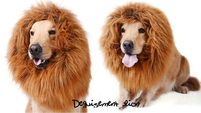 RÃ©sultats de recherche d'images pour Â«Â costume chien lionÂ Â»