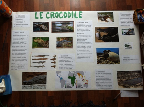 Exposé CE2: le crocodile