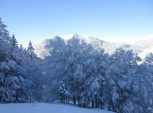 Cabane (2 nuits) : col de Piéjau (Comminges) - 31