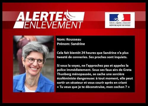 Sandrine Rousseau spécial