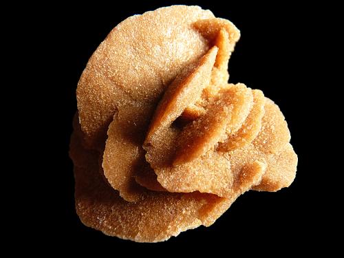 Rose des sables
