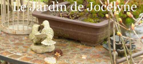Le jardin de Jocelyne - Le Clos du Lavoir