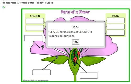 CE2SC - Parts of plants: male / female