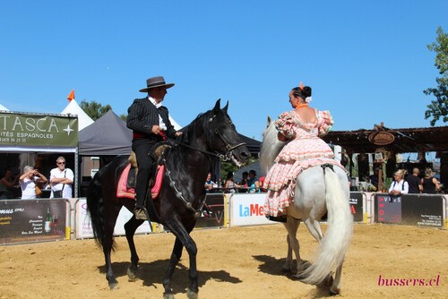 festival andalucia 2016