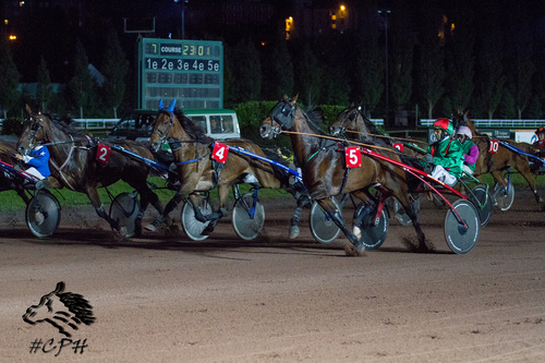 PRIX FRANCE BLEU PICARDIE