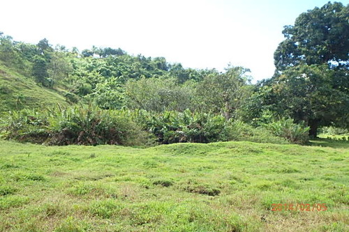 Sentier des Princes 