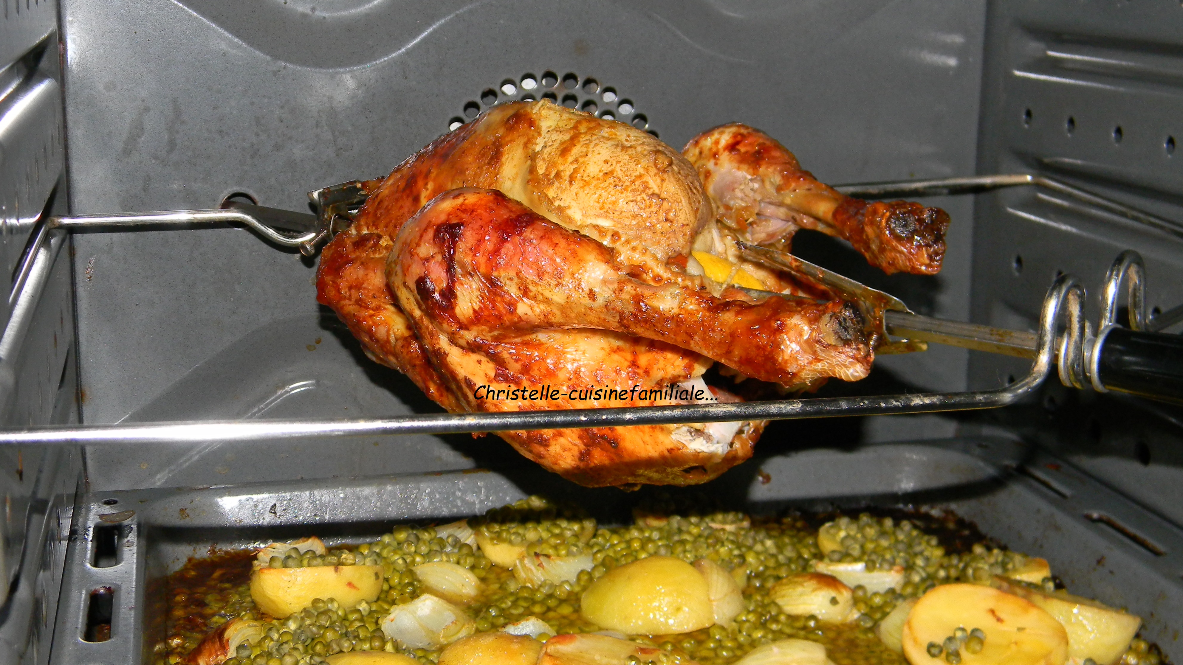Spot de nuit alouette réplique cuisson poulet a la broche barbecue  digestion soir Tant