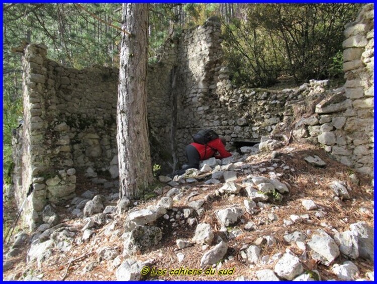 Les gorges de Trevans