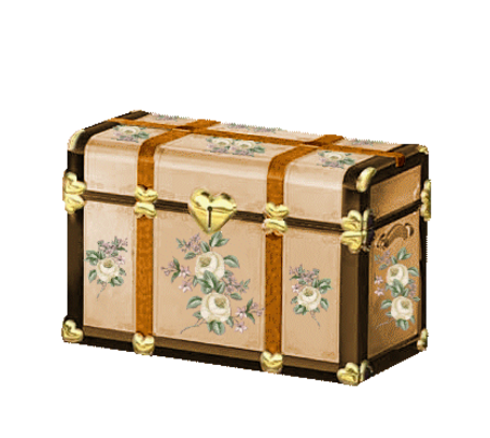 Bagage  / valise