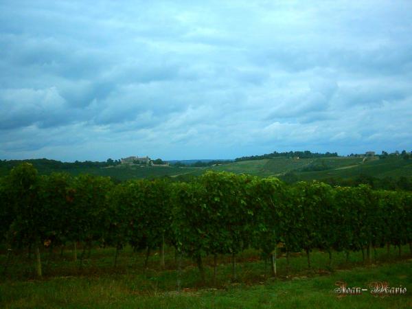 le château des Benauges (arbis) gironde