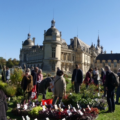 Ce weekend : édition d'automne des Journées des Plantes de Chantilly...