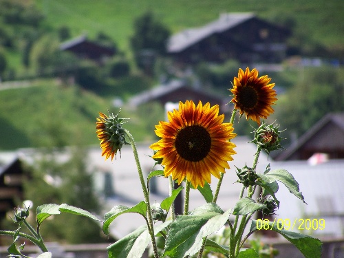 Photos paysages de Savoie