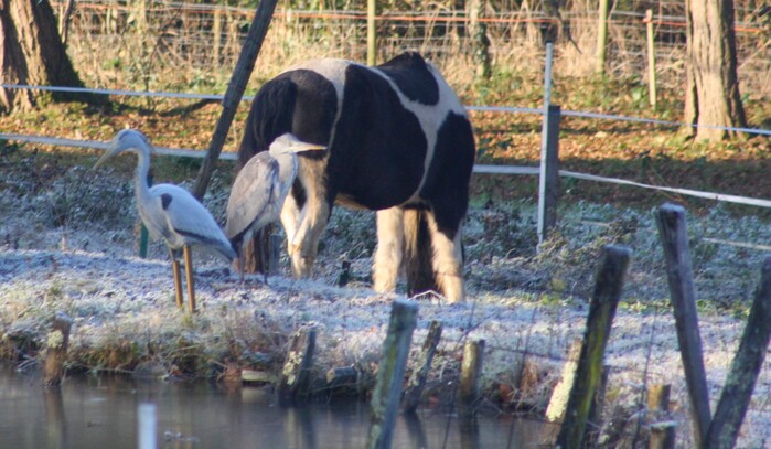 Il faisait très froid et sacré découverte.