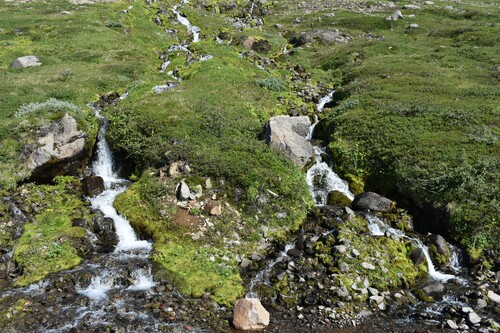 De Laugarhóll à Laugarhóll via Kaldalón