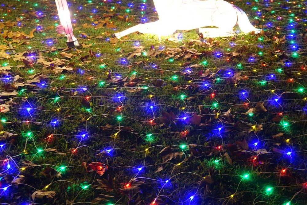 Les lumières légendaires à Bordeaux - Les licornes...