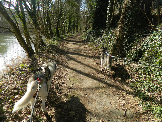 Descente de la Lesse 2015