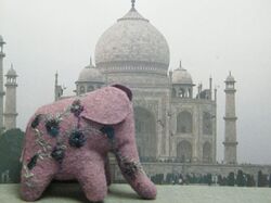 Eléphant mauve