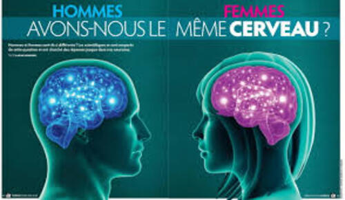 Un homme et une femme ont ils le même cerveau ?