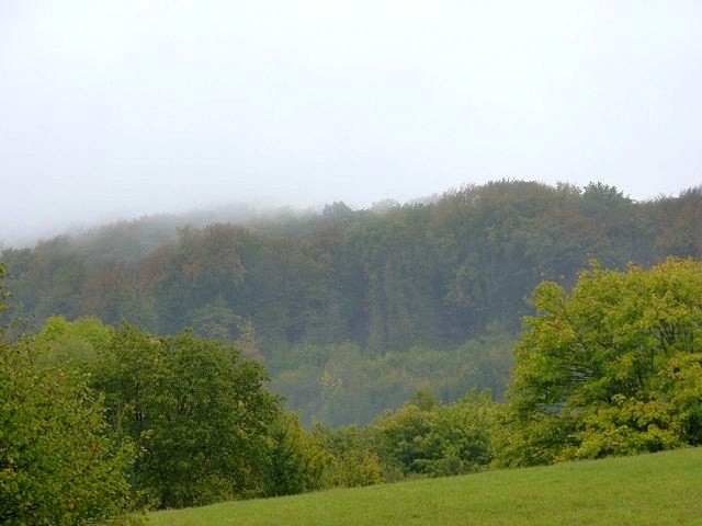 Moselle en automne 1 Marc de Metz 16 10 2012