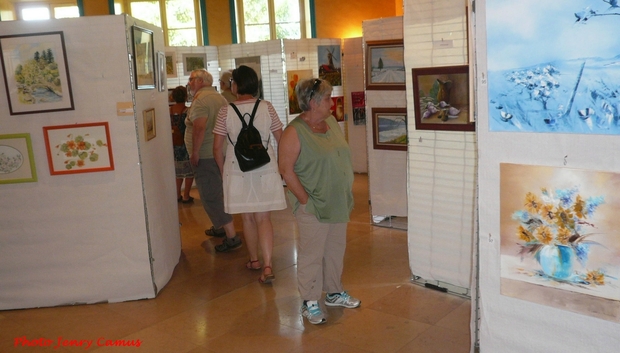 L'exposition 2014 de "Talents cachés" à Puits