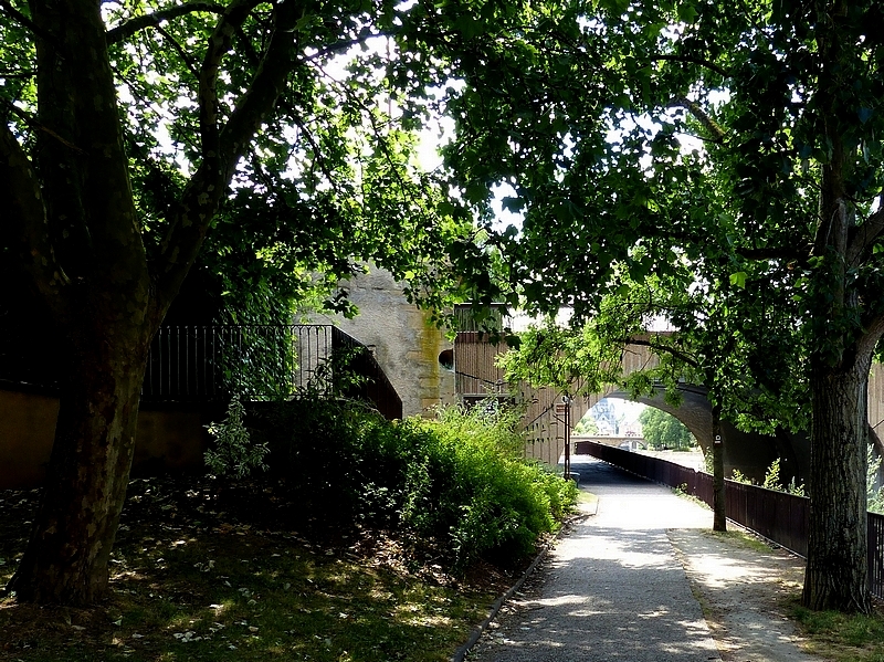 Metz / Suite à une promenade sous les arbres...
