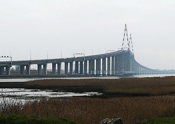 Roselières du Brivet et Pont de Saint Nazaire