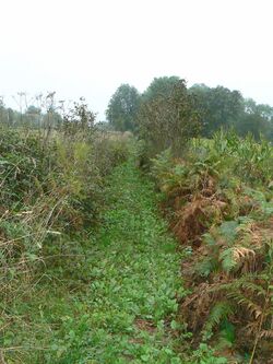 Le chemin des 4 Gués