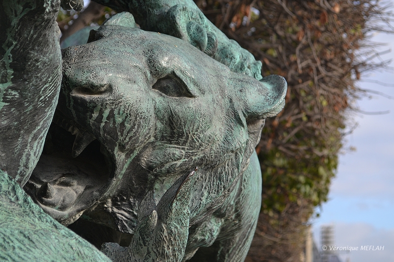 Jardin des Tuileries : Lion et lionne se disputant un sanglier de A. N. CAIN