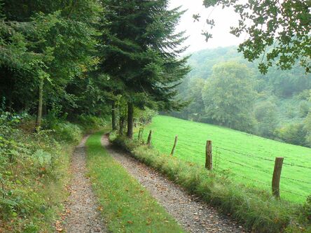 Le chemin des 4 Gués