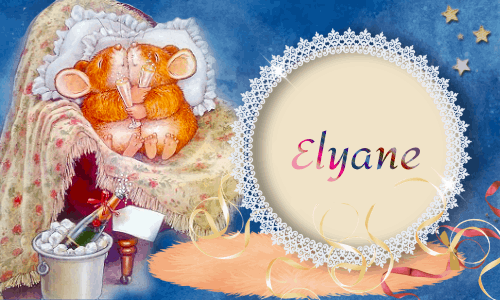 Marché de Noël réception Elyane 2