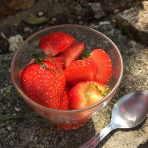 Verrine de fraise et sirop de basilic