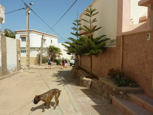 descente vers le sud