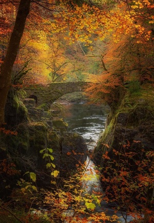 Le petit pont de pierres ...
