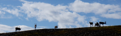 Cap Nord 2010 en Transalp