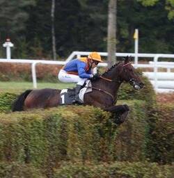 Le Pin au Haras -Tornado en action en 2017 lors de son facile succès 