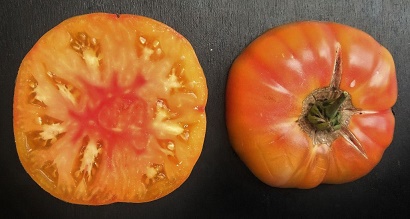 Les tomates ... 
