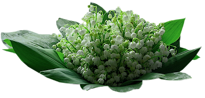 Tubes Fleurs