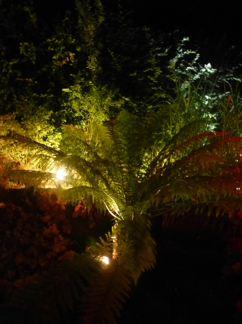 JARDINS DE CHAUMONT BY NIGHT .........