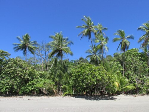 Parque Corcovado