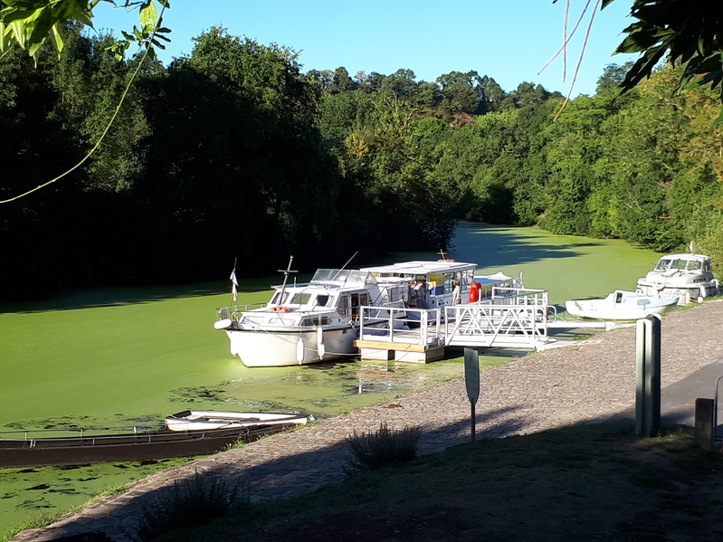 La Haie Fouassière - les bords de Sèvre