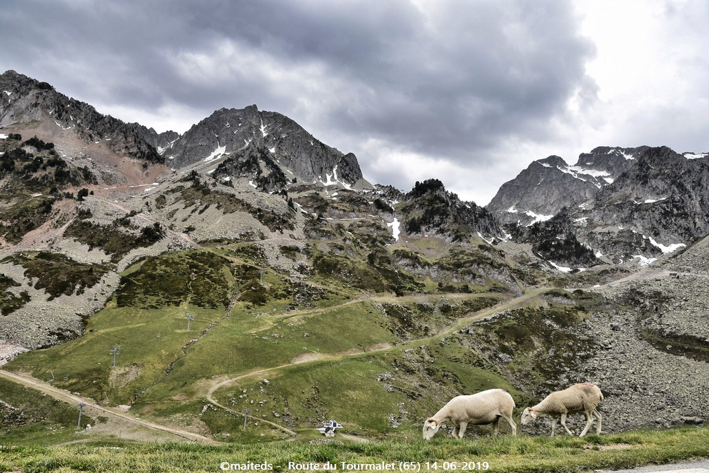 Sur la route du Tourmalet (65)