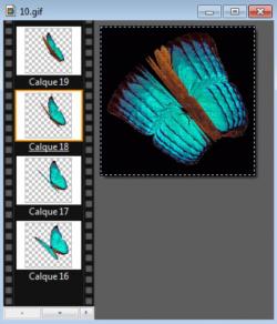 incruster un gif animé