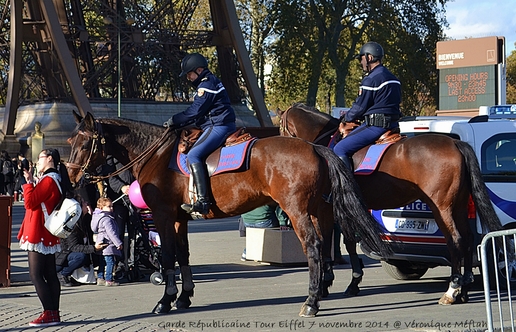 La Garde Républicaine : La sécurité publique à cheval