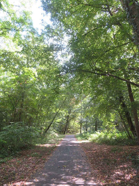 Sortie à vélo dans le 94, 92, 91 et 78, jusqu'à Jouy-en-Josas, en passant par le lac de Saclay (62 km)